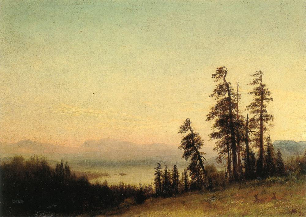 Paisagem com cervos, vista de Estes Park, Colorado (Albert Bierstadt) - Reprodução com Qualidade Museu