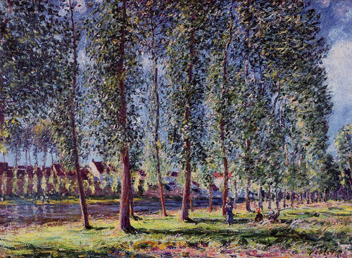 Lane Of Poplars At Moret (Alfred Sisley) - Reprodução com Qualidade Museu