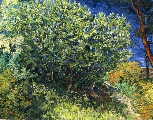 Arbusto lilás (Vincent Van Gogh) - Reprodução com Qualidade Museu