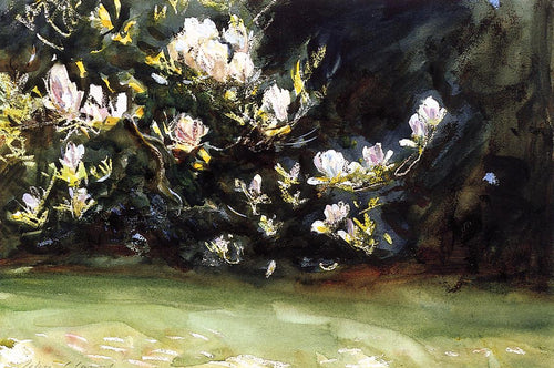 Magnolias (John Singer Sargent) - Reprodução com Qualidade Museu