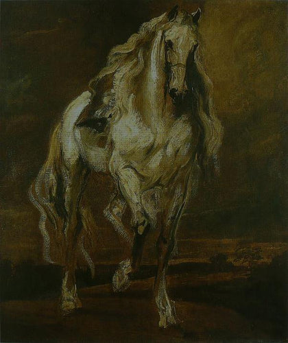 Estudo de um cavalo (Anthony van Dyck) - Reprodução com Qualidade Museu