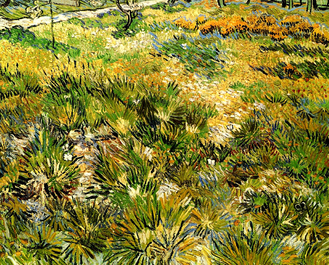 Prado no Hospital Jardim de Saint Paul (Vincent Van Gogh) - Reprodução com Qualidade Museu