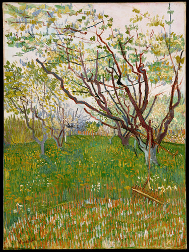 Pomar em flor (Vincent Van Gogh) - Reprodução com Qualidade Museu