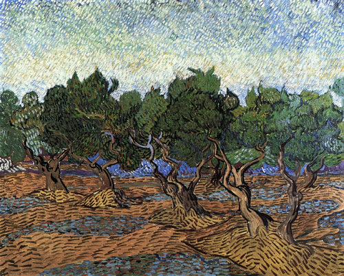 Olival (Vincent Van Gogh) - Reprodução com Qualidade Museu