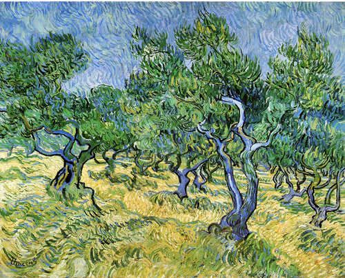 Olival (Vincent Van Gogh) - Reprodução com Qualidade Museu