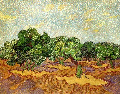 Olive Grove - Pale Blue Sky (Vincent Van Gogh) - Reprodução com Qualidade Museu