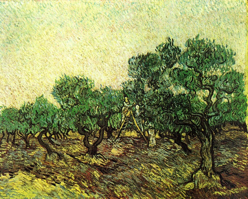 Colheita da azeitona (Vincent Van Gogh) - Reprodução com Qualidade Museu