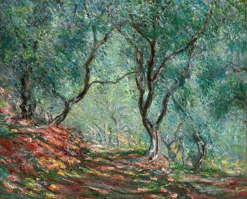Madeira de oliveira no jardim Moreno (Claude Monet) - Reprodução com Qualidade Museu
