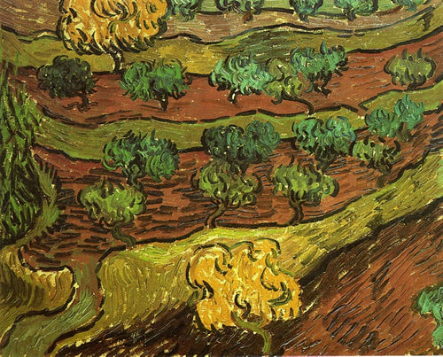 Oliveiras na encosta de uma colina (Vincent Van Gogh) - Reprodução com Qualidade Museu