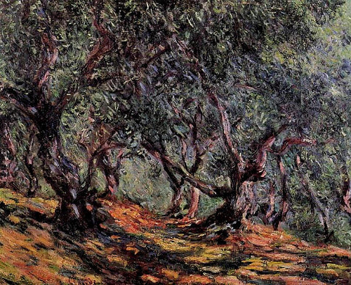 Oliveiras em Bordigher (Claude Monet) - Reprodução com Qualidade Museu