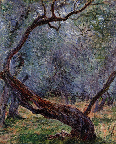 Olive Trees Study (Claude Monet) - Reprodução com Qualidade Museu