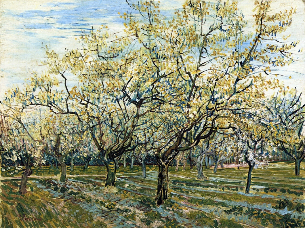 Pomar com ameixeiras em flor (Vincent Van Gogh) - Reprodução com Qualidade Museu