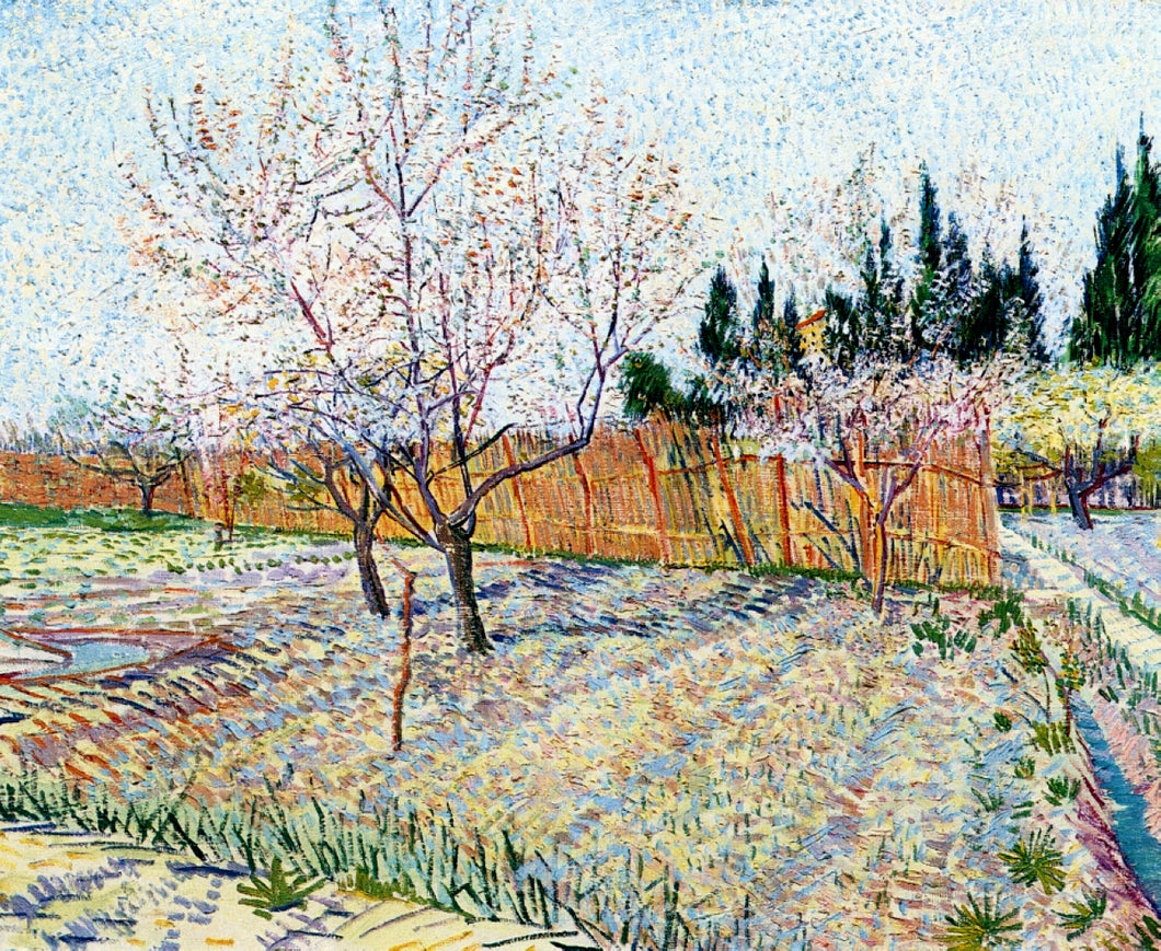 Pomar com pessegueiros em flor (Vincent Van Gogh) - Reprodução com Qualidade Museu