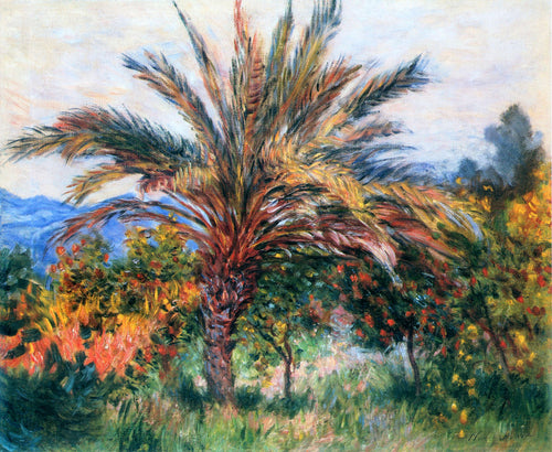 Palmeira em Bordighera (Claude Monet) - Reprodução com Qualidade Museu