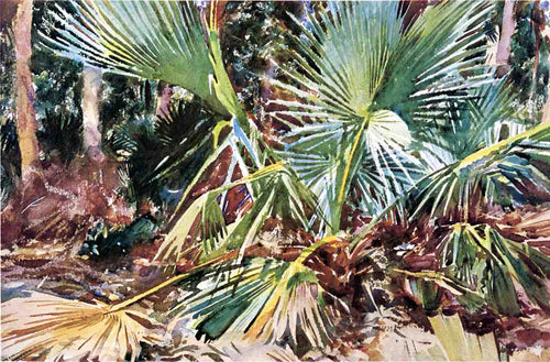 Palmettos. Flórida (John Singer Sargent) - Reprodução com Qualidade Museu