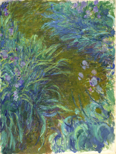 Caminho através das íris (Claude Monet) - Reprodução com Qualidade Museu