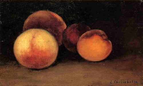Pêssegos, Nectarinas e Damascos (Gustave Caillebotte) - Reprodução com Qualidade Museu
