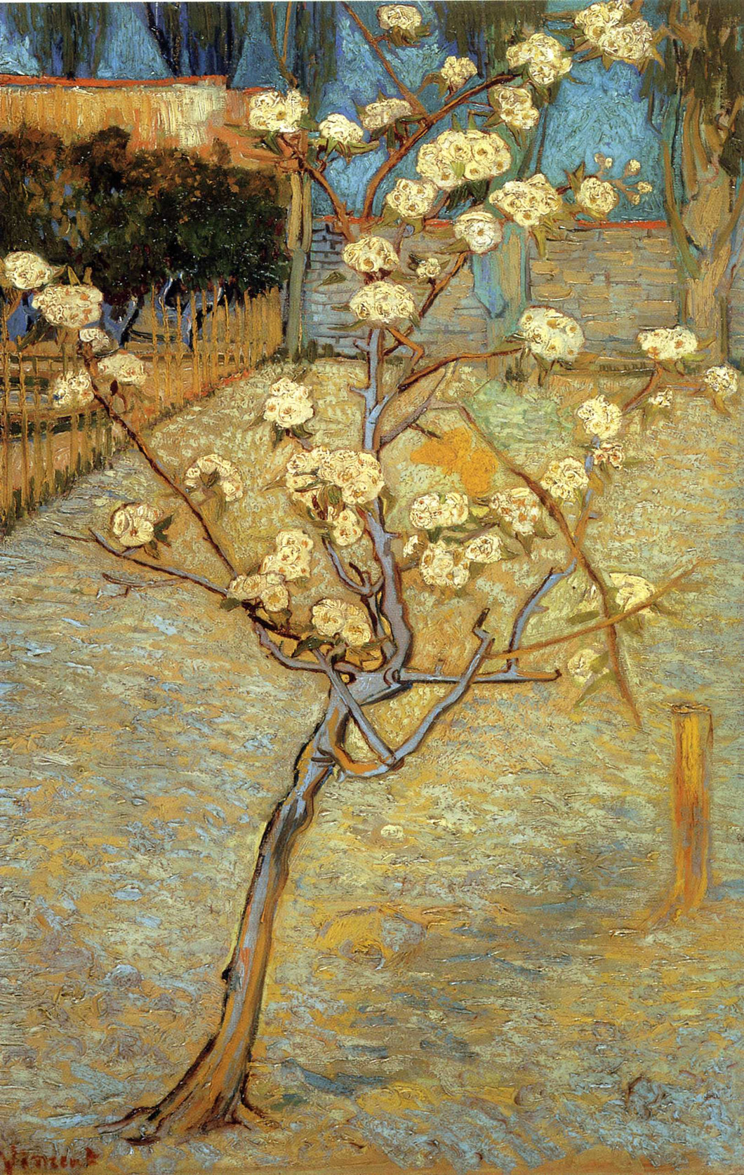 Pear Tree In Blossom (Vincent Van Gogh) - Reprodução com Qualidade Museu