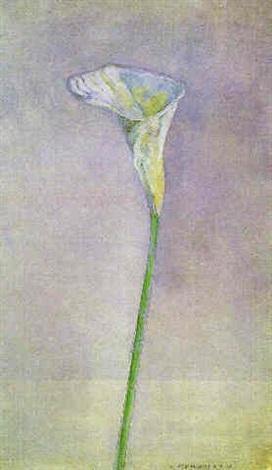 Arum Lily (Piet Mondrian) - Reprodução com Qualidade Museu