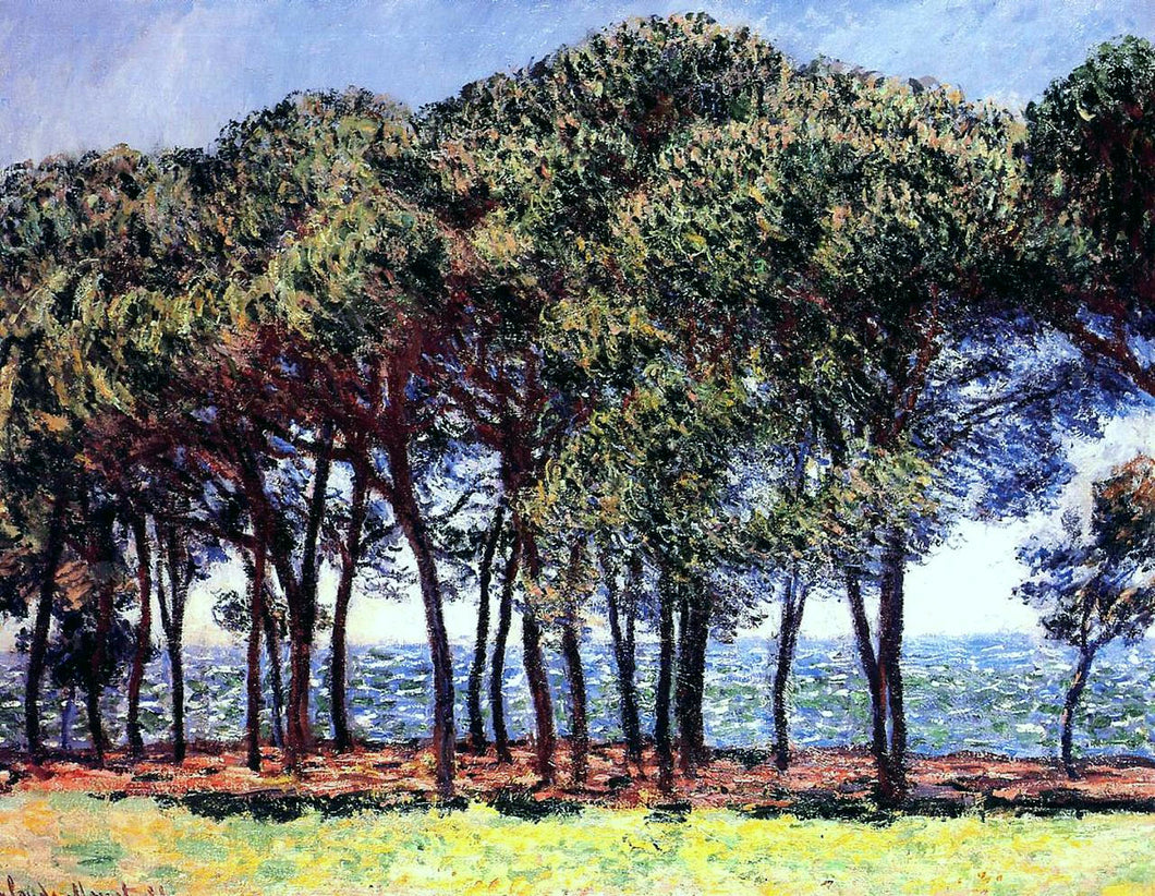 Pinheiros, Cap Dantibes (Claude Monet) - Reprodução com Qualidade Museu