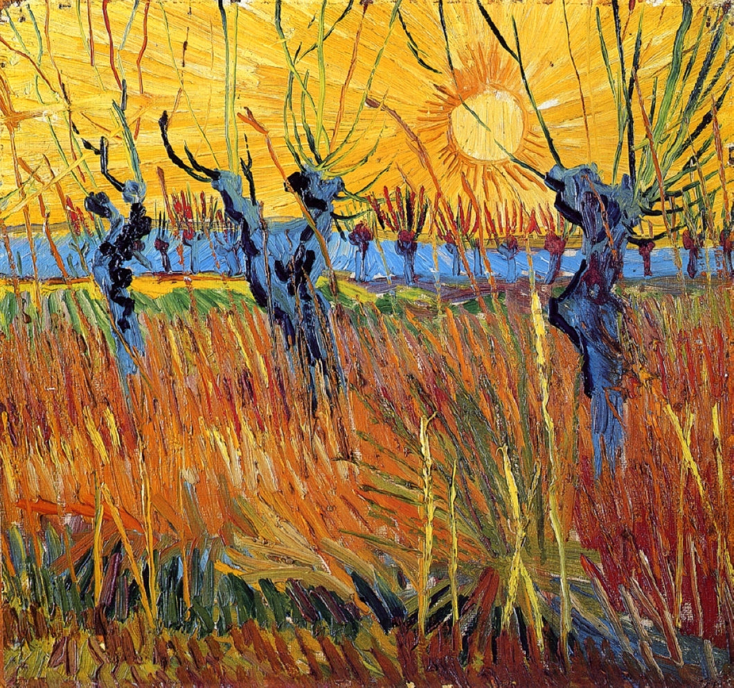 Salgueiros Pollard e Sol Poente (Vincent Van Gogh) - Reprodução com Qualidade Museu