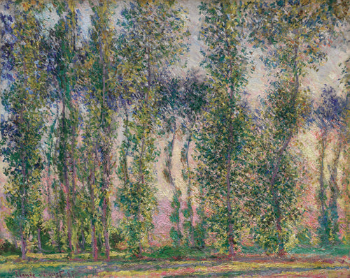 Choupos em Giverny (Claude Monet) - Reprodução com Qualidade Museu