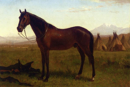 Retrato De Um Cavalo (Albert Bierstadt) - Reprodução com Qualidade Museu