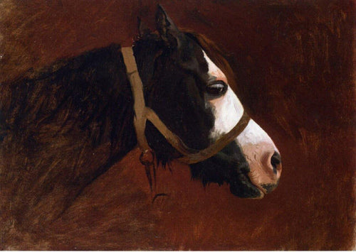 Perfil de um cavalo (Jean-Leon Gerome) - Reprodução com Qualidade Museu