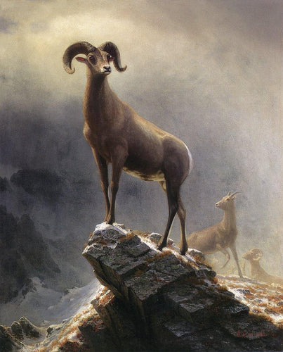 Ovelha da Montanha Rochosa (Albert Bierstadt) - Reprodução com Qualidade Museu