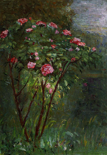 Rose Bush em flor (Gustave Caillebotte) - Reprodução com Qualidade Museu