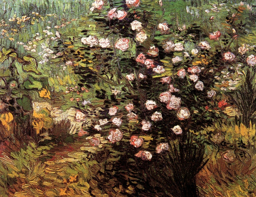 Roseira em flor (Vincent Van Gogh) - Reprodução com Qualidade Museu