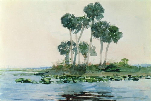 Rio St Johns (Winslow Homer) - Reprodução com Qualidade Museu
