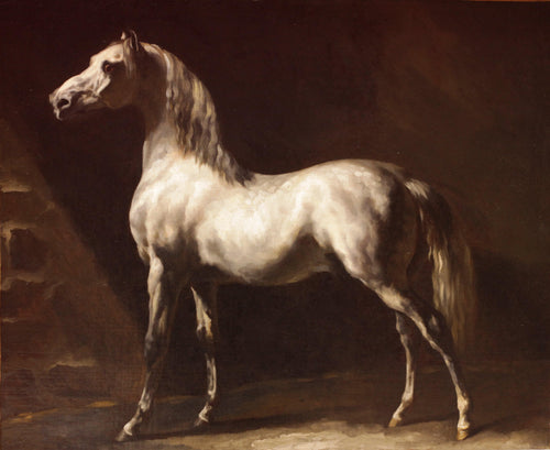 Cavalo Cinzento