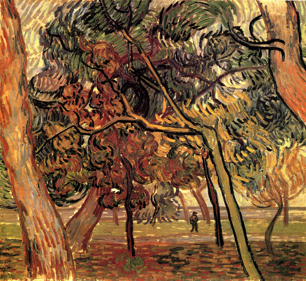 Estudo de pinheiros (Vincent Van Gogh) - Reprodução com Qualidade Museu
