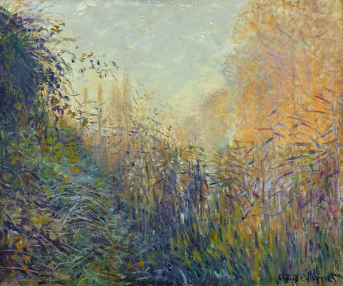 Estudo Rushes em Argenteuil (Claude Monet) - Reprodução com Qualidade Museu