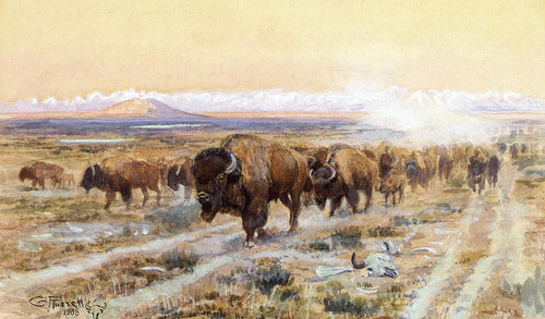 The Bison Trail - Replicarte