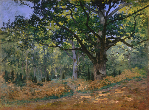 The Bodmer Oak, Fontainebleau (Claude Monet) - Reprodução com Qualidade Museu