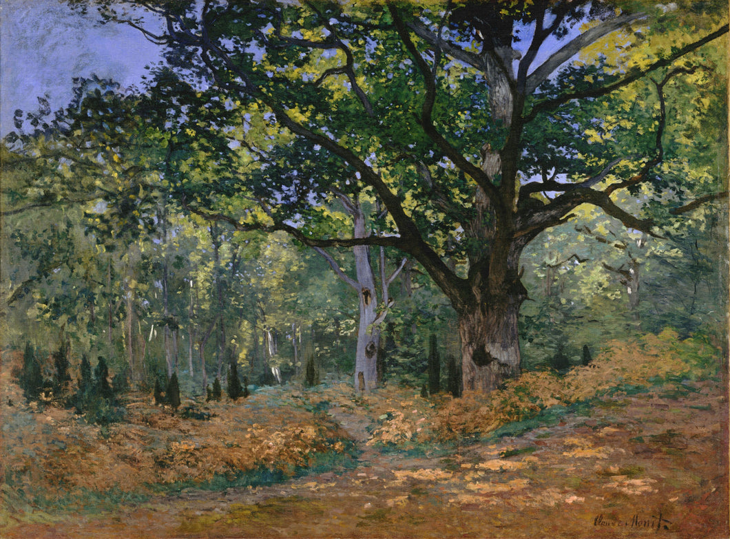 The Bodmer Oak, Fontainebleau (Claude Monet) - Reprodução com Qualidade Museu