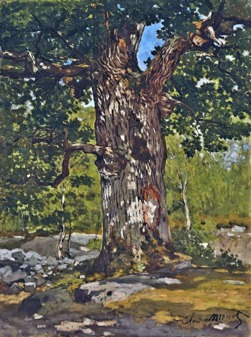 The Bodmer Oak (Claude Monet) - Reprodução com Qualidade Museu