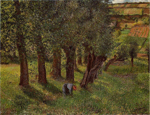 O Repolho De Pontoise (Camille Pissarro) - Reprodução com Qualidade Museu