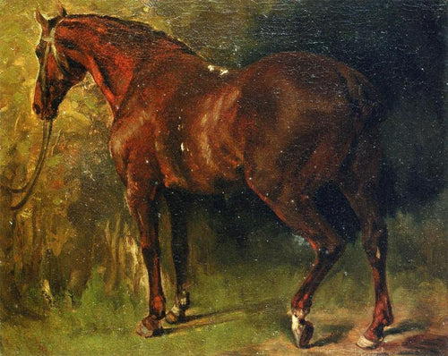 O cavalo inglês de M. Duval