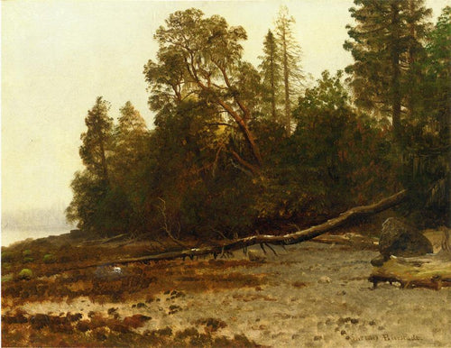 A árvore caída (Albert Bierstadt) - Reprodução com Qualidade Museu