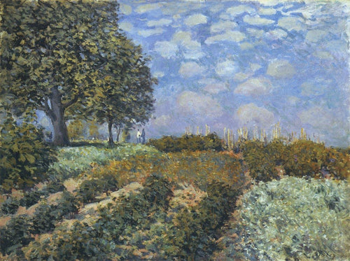 Os campos (Alfred Sisley) - Reprodução com Qualidade Museu