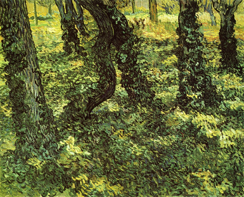 Troncos de árvores com hera (Vincent Van Gogh) - Reprodução com Qualidade Museu