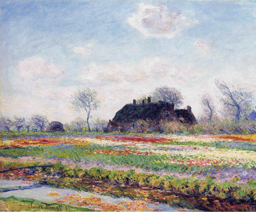 Campos de tulipas em Sassenheim, perto de Leiden (Claude Monet) - Reprodução com Qualidade Museu