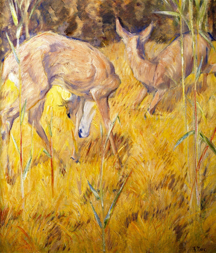 Deer In The Reeds (Franz Marc) - Reprodução com Qualidade Museu
