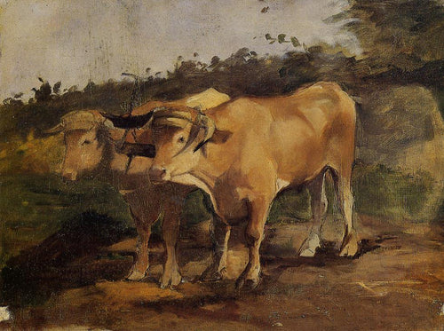 Dois touros usando uma canga (Henri de Toulouse-Lautrec) - Reprodução com Qualidade Museu