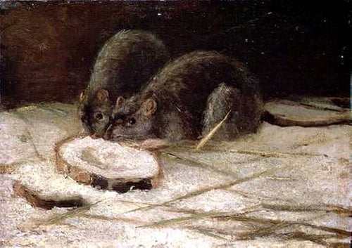 Dois ratos (Vincent Van Gogh) - Reprodução com Qualidade Museu