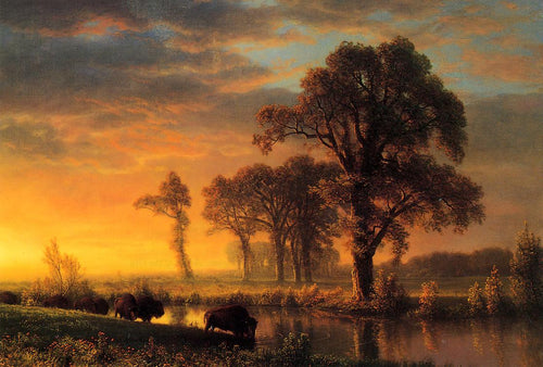 Western Kansas (Albert Bierstadt) - Reprodução com Qualidade Museu