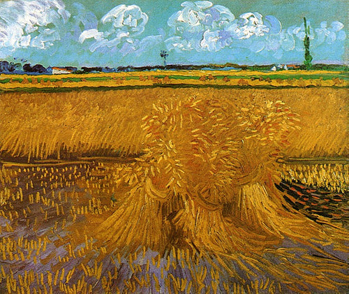 Campo de trigo com polias (Vincent Van Gogh) - Reprodução com Qualidade Museu